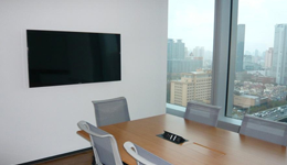 勾画家电业全球化路线图 世博会加速全球崛起